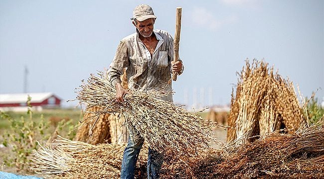 Atayname Kavrulmuş Susam 250 G